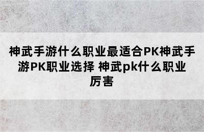 神武手游什么职业最适合PK神武手游PK职业选择 神武pk什么职业厉害